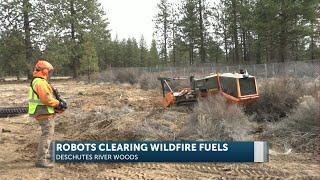 Wildfire prvention program uses robots