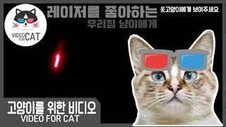 [고양이를 위한 비디오] VIDEO FOR CAT 고양이들이 힐링하는 ASMR, 레이저! #고양이레이저 #고양이놀이 #고양이레이저놀이