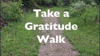 How Gratitude Walks Can Change Your Life for the Better