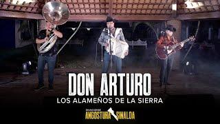 Don Arturo (En Vivo) - Los Alameños De La Sierra