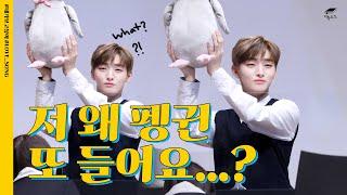 (JPN CC) 2년이 지나 펭귄 또 드는 윤지성｜#지룽소드