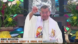 𝗡𝗢 𝗣𝗔𝗜𝗡, 𝗡𝗢 𝗚𝗔𝗜𝗡 | Homily 28 April 2024 with Fr. Jerry Orbos, SVD on Fifth Sunday of Easter