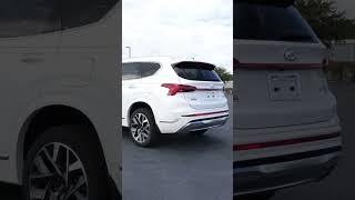 2023 Hyundai Santa Fe Calligraphy | Universal Hyundai | 538355