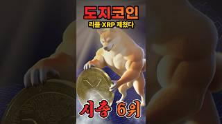 도지코인(DOGE), 결국 리플(XRP) 제치고 6위 달성했다