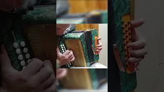 как быстро научиться играть Цыганочку с выходом на гармони три аккорда 300 песен к Новому году