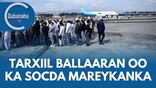 Tarxiil ballaaran oo ka socda Mareykanka, iyo qodobo kale | Qubanaha VOA