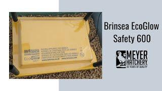 Brinsea EcoGlow Safety 600 Chick Brooder Plate