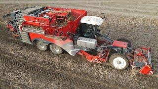 New Dewulf Enduro Harvesting potatoes 2023 | Scania DC13 Engine | Soil Saver Tires | Fill-Tastic 