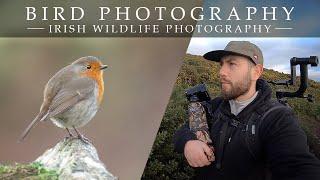 Wildlife Photography - * A Great Morning of Bird Photography *