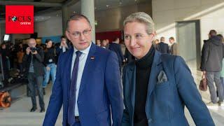 AfD hat Mega-Vorteil: Wer jetzt vom Neuwahl-Termin profitiert und wer nicht