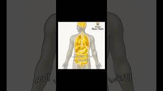 هل فعلا جسم الانسان فيه ذهب 