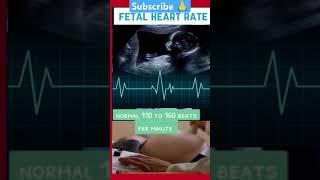 Fetal heart rate #pregnancyjourney #pregnancycare #pregnancytips #trending #baby #ytshort