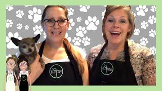 Thrive Food for Pets | DIY Homemade Dog Food