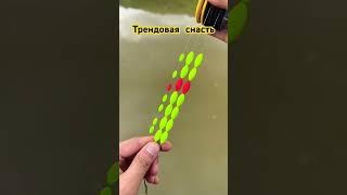 Трендовая снасть #рибалка #карп #карась #fishing #рыбалка #удочка #фидер #фідер #донка #сазан