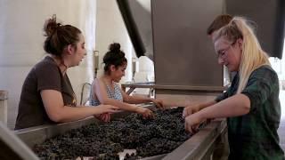 Fresno State Winery Spotlight