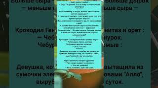 ПОДБОРКА ТУПЫХ НО ЗАБАВНЫХ АНЕКДОТОВ  #анекдоты #Юмор #История #Жизнь #Анекдот #Прикол #США