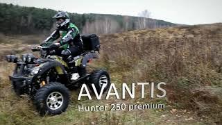 Avantis в Зеленограде zel-moto.ru