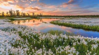 Олег Жиганов и Елена Гафурова | Весна
