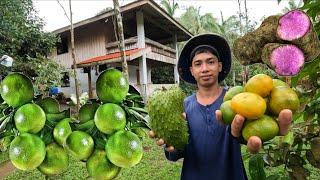 TANIM NATING UBE LUMALAKI NA ANG LAMAN I PAMUMULOT NG LADO