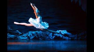 Swan Lake - Full Performance - Live Ballet