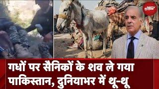 Terrorist Attack in Pakistan: गधों पर ले गए Army जवानों के शव । Video Viral । Khyber Pakhtunkhwa