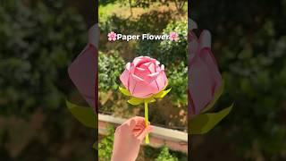 Paper Flower #craft #diyflower #paperdiy