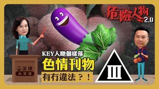 ️法律小常識｜KEY人哋個樣落色情刊物有冇違法？！｜危險人物2.0