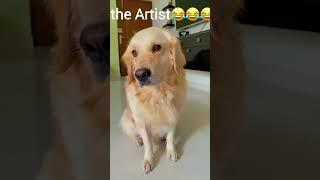 The Art & the Artist #goldenritriever #doglover #petlover