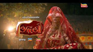 Odhani | New Odia Serial | Tarang Serial | Tarang TV | Tarang Plus