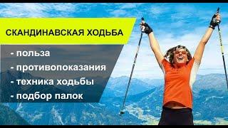 Скандинавская ходьба: польза и противопоказания, подбор палок, техника ходьбы.