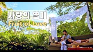 사랑의 열매 Fruit of Love | cover by Gina