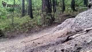 Weehoo Bicycle Trailer : the off road experience
