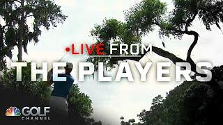 TPC Sawgrass adds new tree on sixth hole to return charm | Live From The Players | Golf Channel