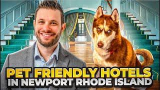 Top Pet-Friendly Hotels In Newport RI - Best Stays With Your Furry Friend