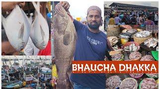 Biggest Fish Market In Mumbai Bhaucha Dhakka full tour Avim Bhai PUFFKING