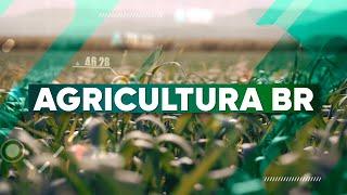 Agricultura BR 2ª Edição | 05/03/2025