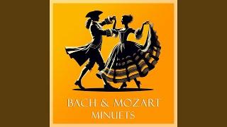 J.S. Bach: Partita for Violin Solo No. 3 in E, BWV 1006: 4b. Minuet II