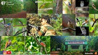 Revealing the hidden trails of untamed & unexplored Kuldiha Wildlife Sanctuary |Wildlife Documentary