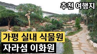 입장료 2천원! 알찬 구성 가평 실내 식물원 이화원ㅣ남이섬,자라섬 여행코스에 추가 추천!!ㅣ가평 가볼만한곳, 가평 여행 추천, 가성비 실내 데이트