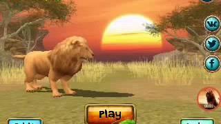Jogo de leão