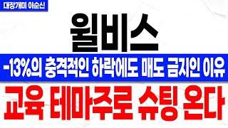 [윌비스 주가 전망]*속보* -13%의 하락에 매도는 하지 말라고? 세력들의 목적이 다분한 움직임 포착했습니다! 교육 테마주로 상승 구간 온다! 꼭 확인하세요!