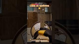 Стена не помеха🫡#pubg#pubgmobile#тренды#пубгнапк#mobilegame#пубг