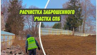 КУПИЛ ЗАБРОШЕННЫЙ УЧАСТОК. МИНИ ЭКСКАВАТОР РАСЧИСТКА #экскаватор #благоустройство #дом #стройка