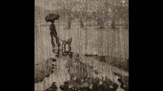 Ambient piano music  - walking the dog in the rain