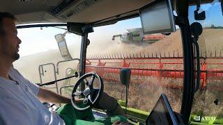 CLAAS LEXION 7700 Montana VLOG