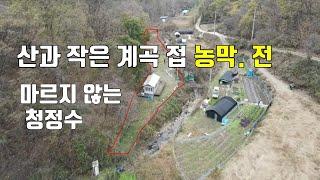 매물346번 대전 금동 산골짜기 사계절 내내 싱그러운 청정수가 흐르는 작은 계곡 접 농막과 전