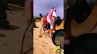 Shiekh Funny Camel Riding Fail Video  #funnyvideos #camelriding #failfunny #ai