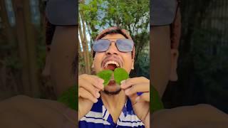 Giant Green Candy ASMR!?@LukeDidThat