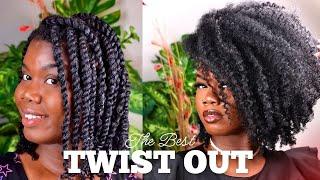 The BEST Type 4 Twist Out Tutorial!