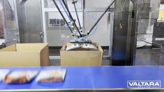 PKR Delta Robotic Pick and Place Case Packer for Pouches into Corrugated RSC Boxes